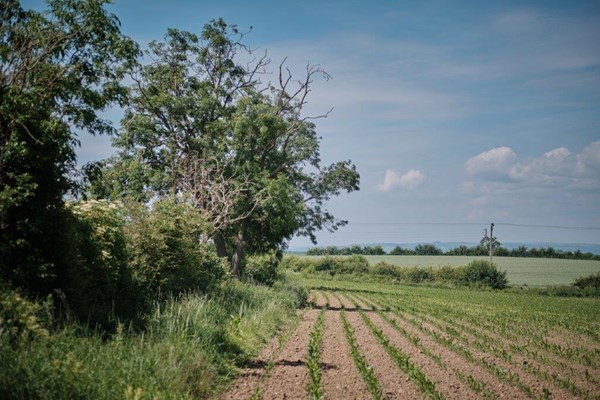 AHDB - WILLOW TREE FARM  - 15th JUNE 2022 © Matt Brodie Photography - 0055